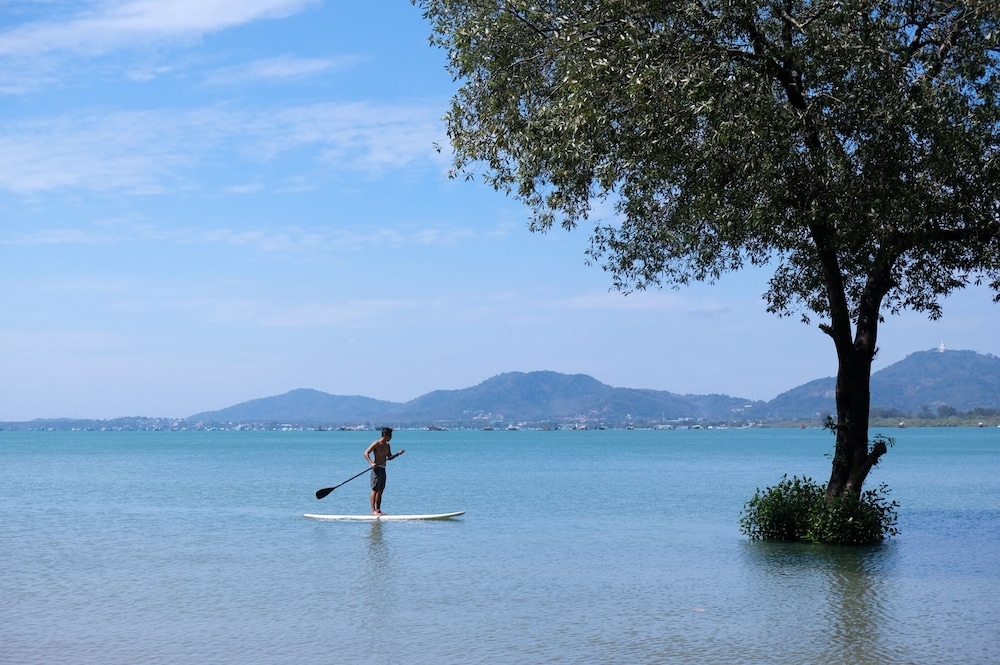 서핑/부기 보드