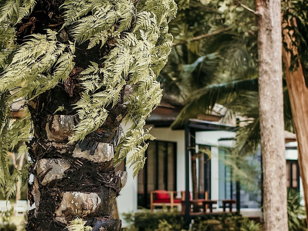 외부 세부 사진