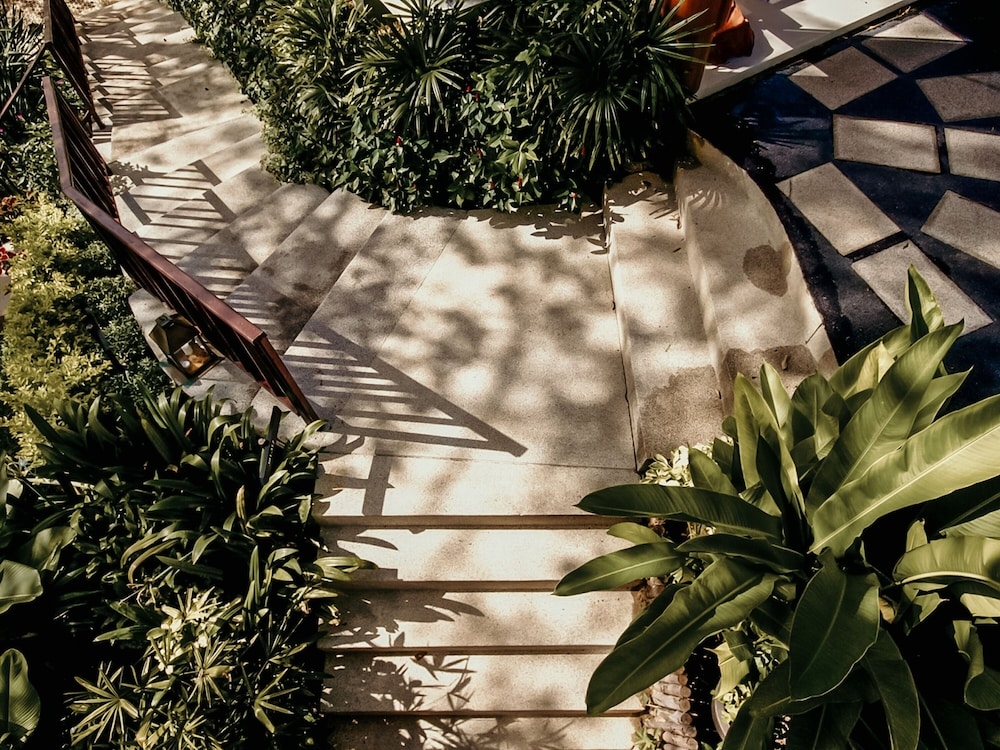 외부 세부 사진