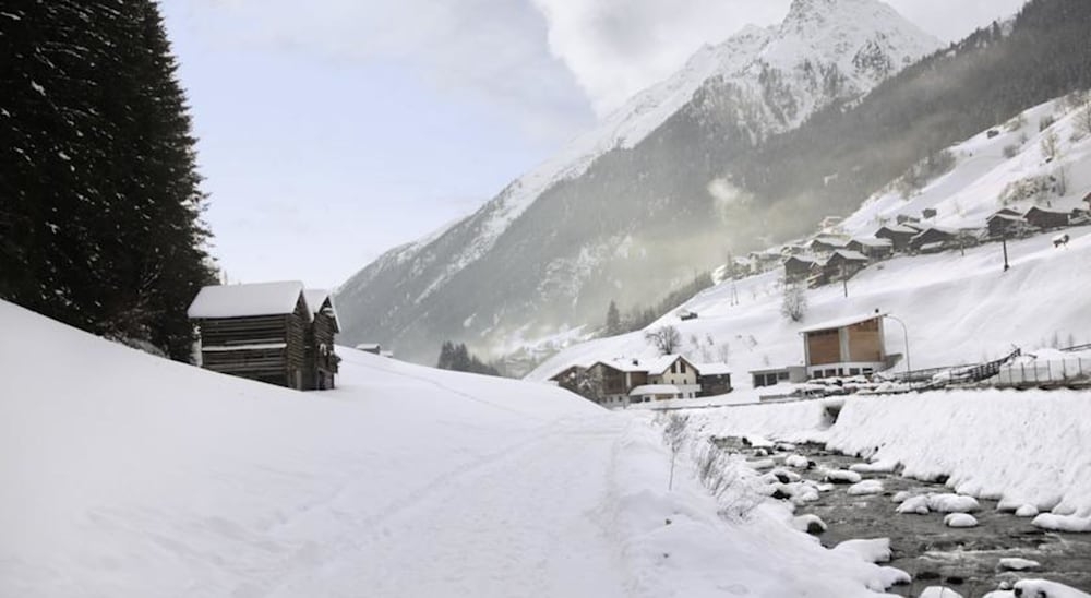 스키 및 겨울 스포츠