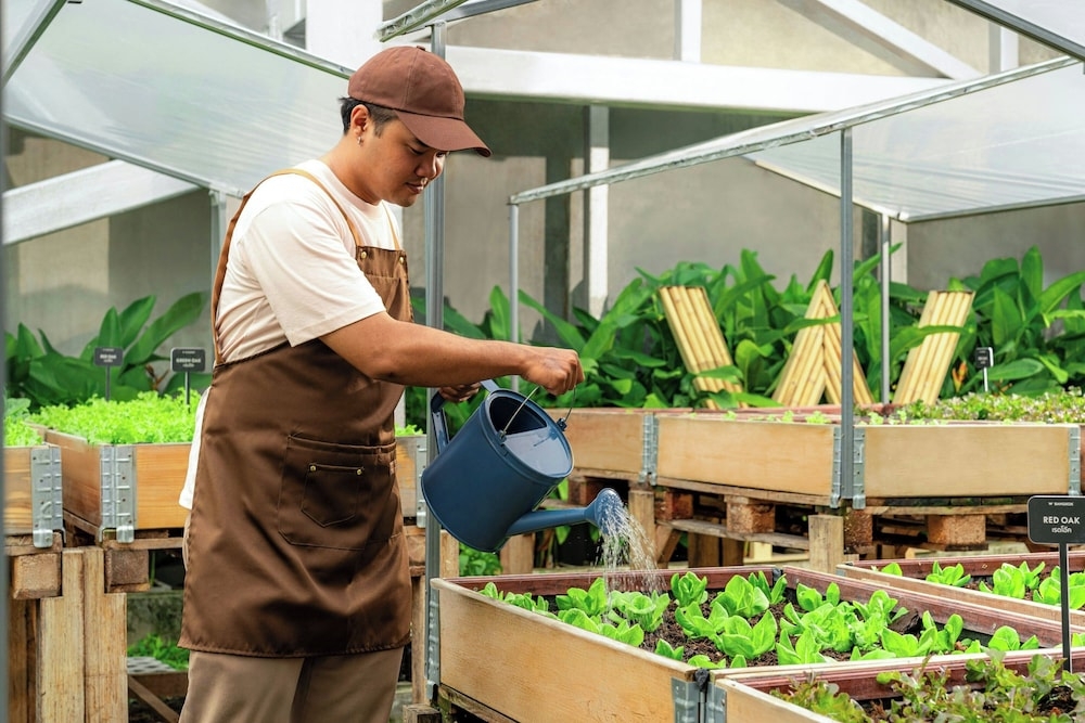 숙박 시설 내 편의 시설/서비스