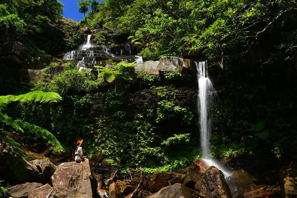 야외 암벽 등반