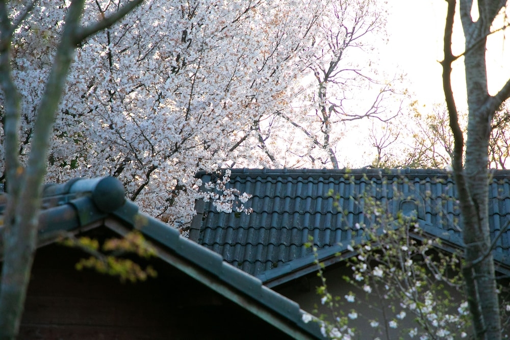 숙박 시설의 전망