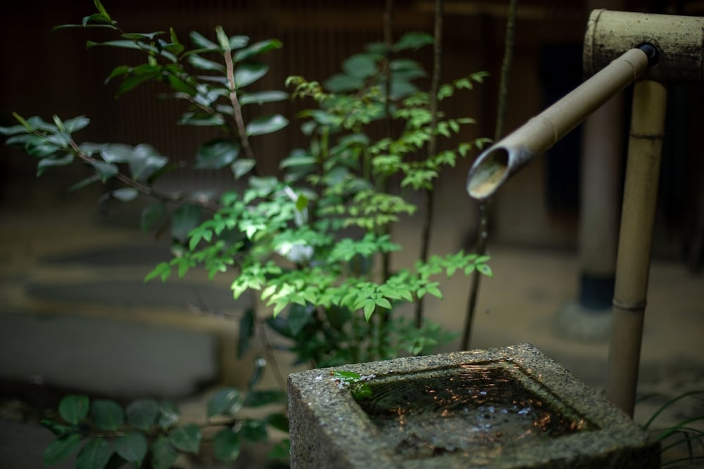 숙박 시설 구내