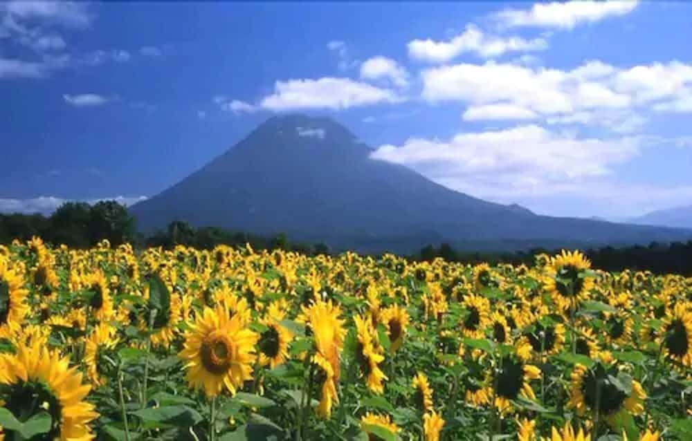 숙박 시설의 전망