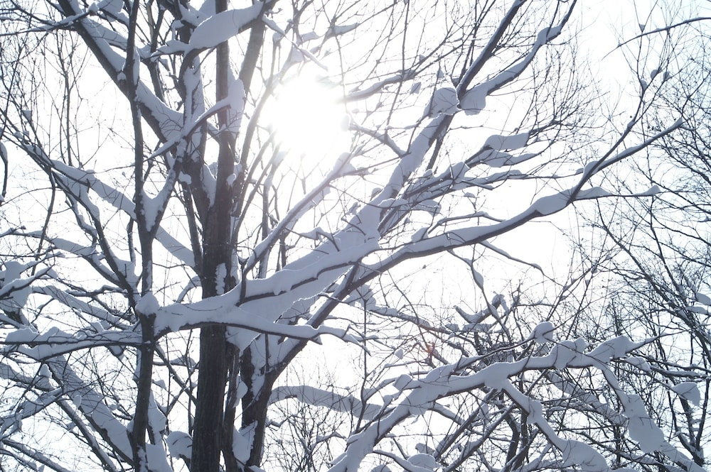 숙박 시설의 전망
