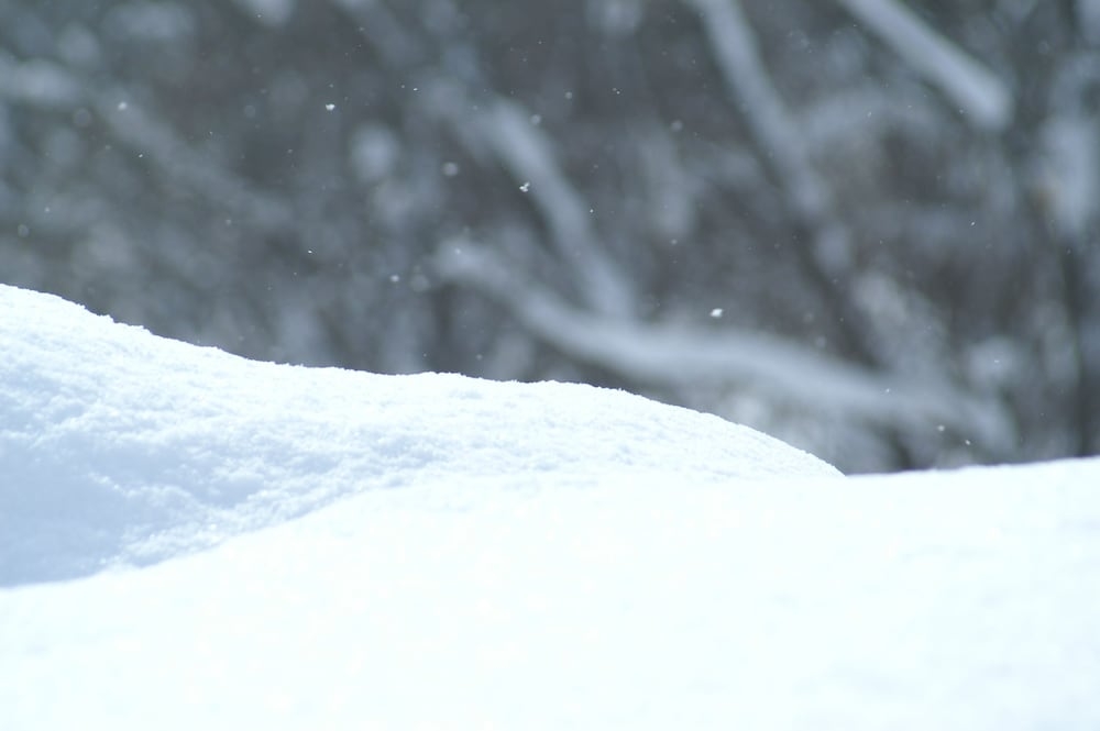 숙박 시설의 전망