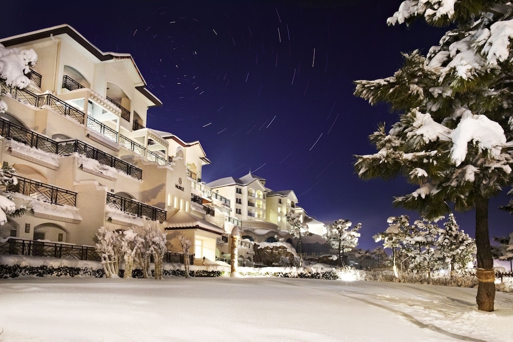 외부 세부 사진