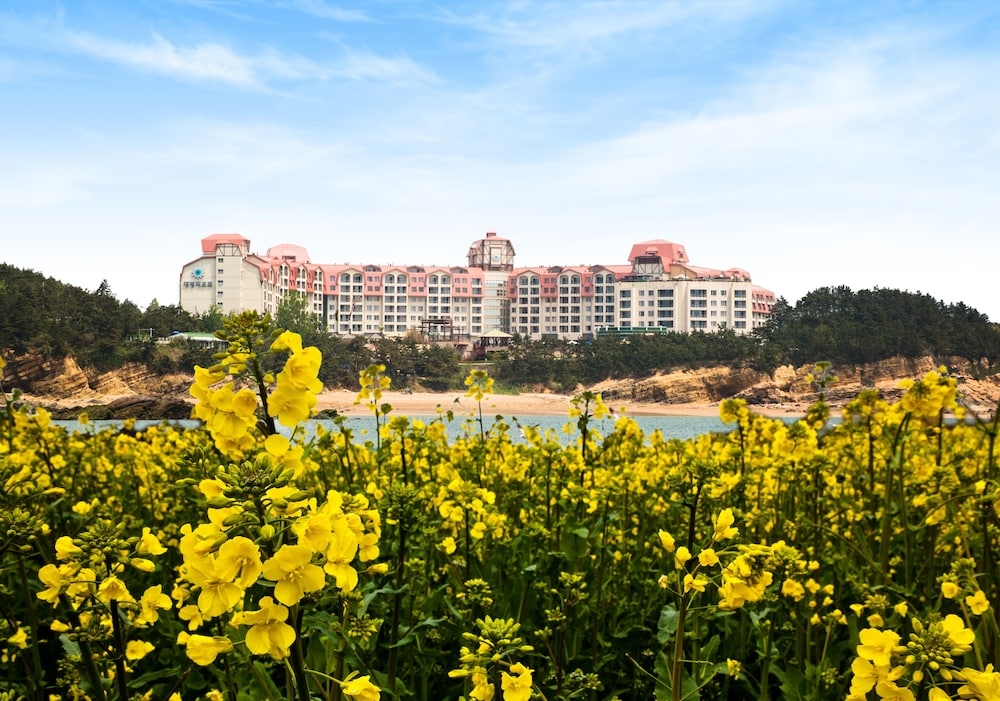 외부 세부 사진