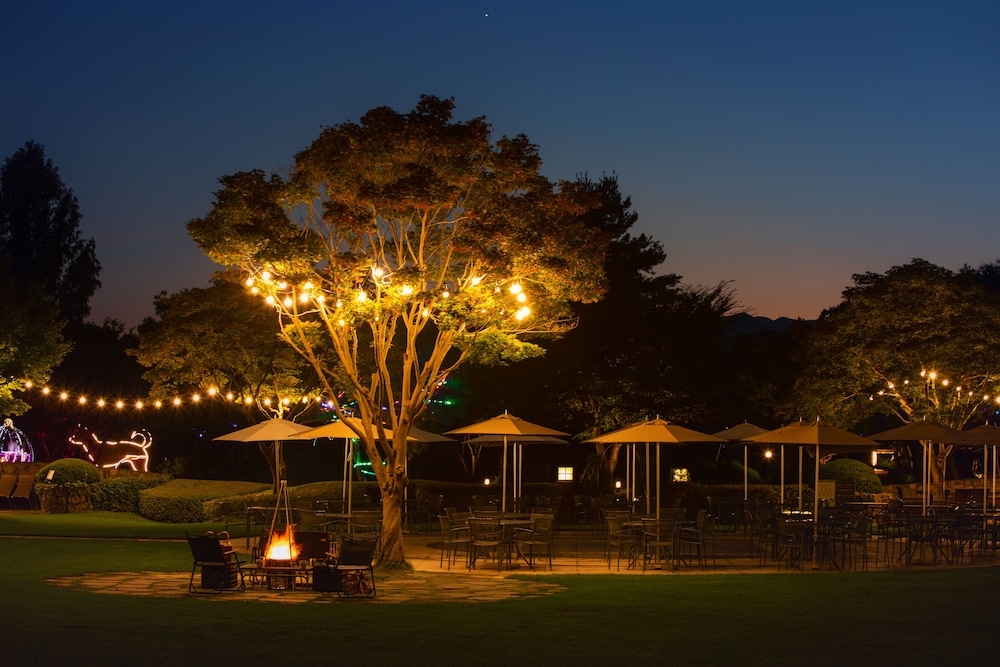 BBQ/피크닉 공간