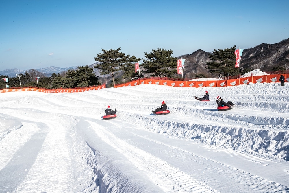 스키 및 겨울 스포츠