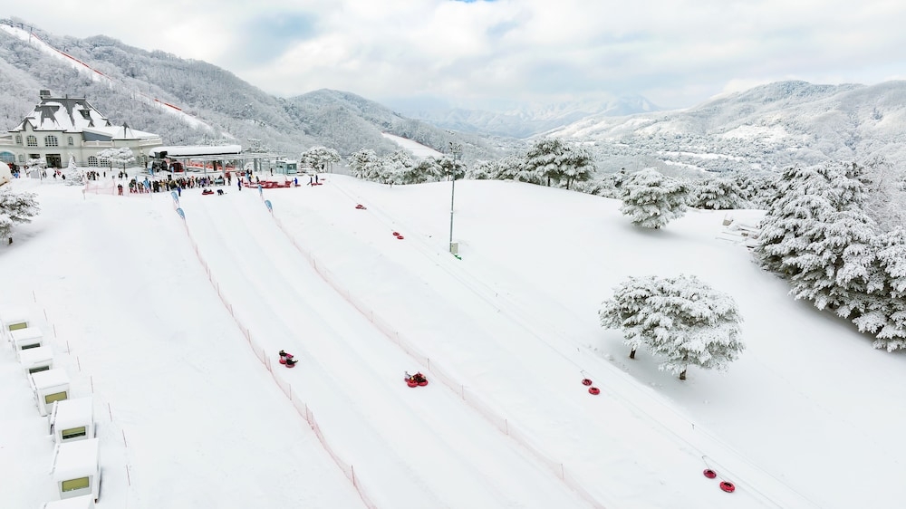 스키 및 겨울 스포츠