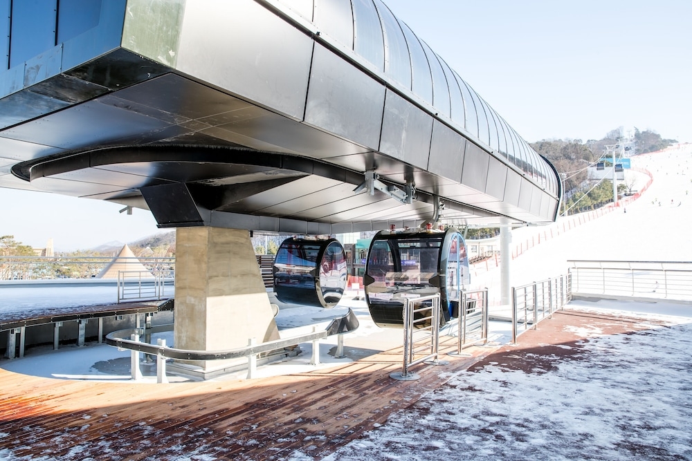 스키 및 겨울 스포츠