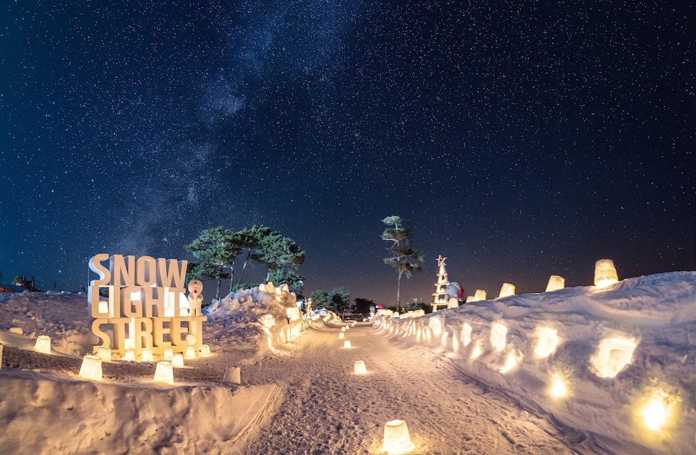 스키 및 겨울 스포츠