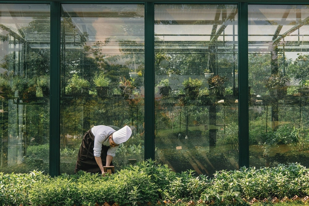 숙박 시설 내 편의 시설/서비스