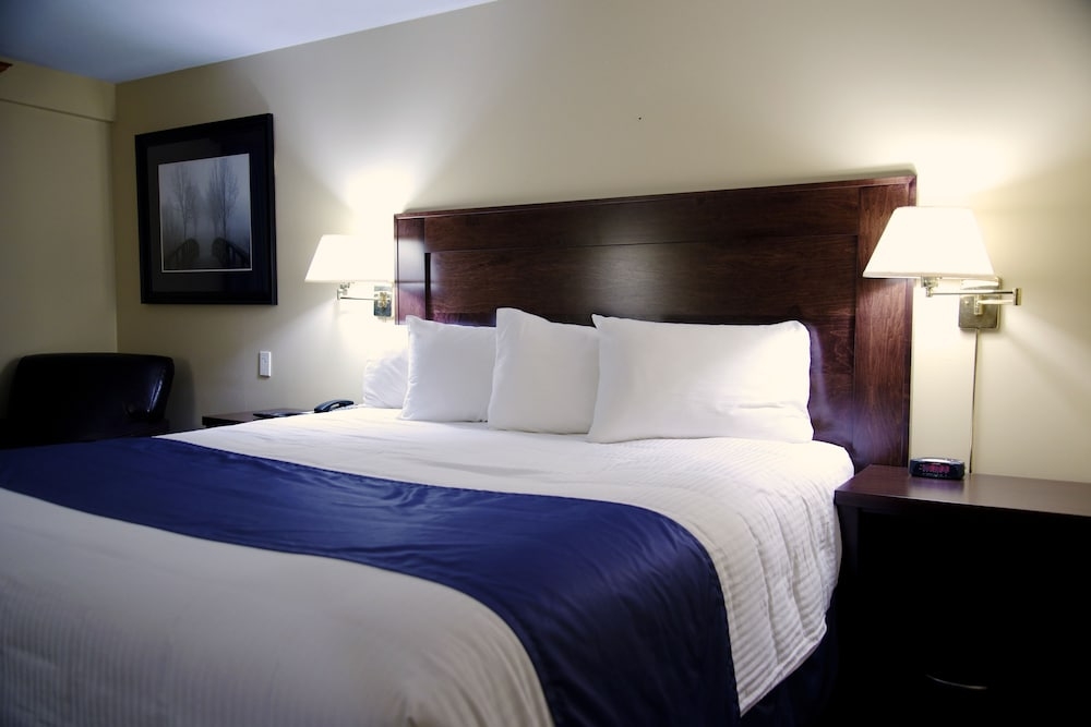 객실에서 보이는 전망