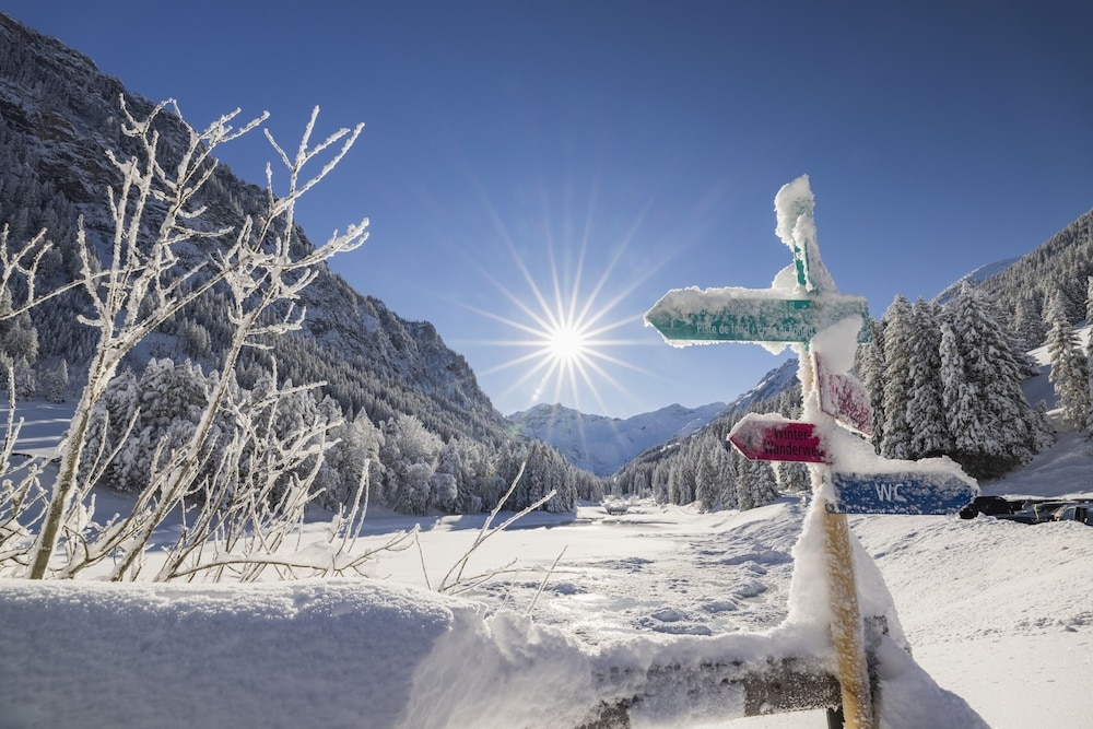 스키 및 겨울 스포츠