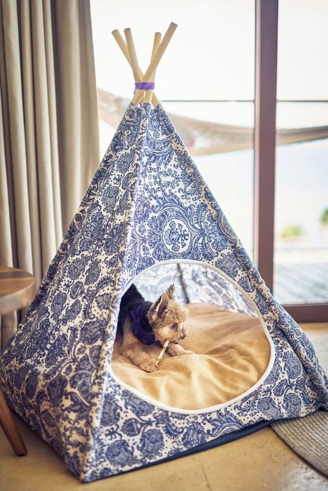 반려동물 동반 가능