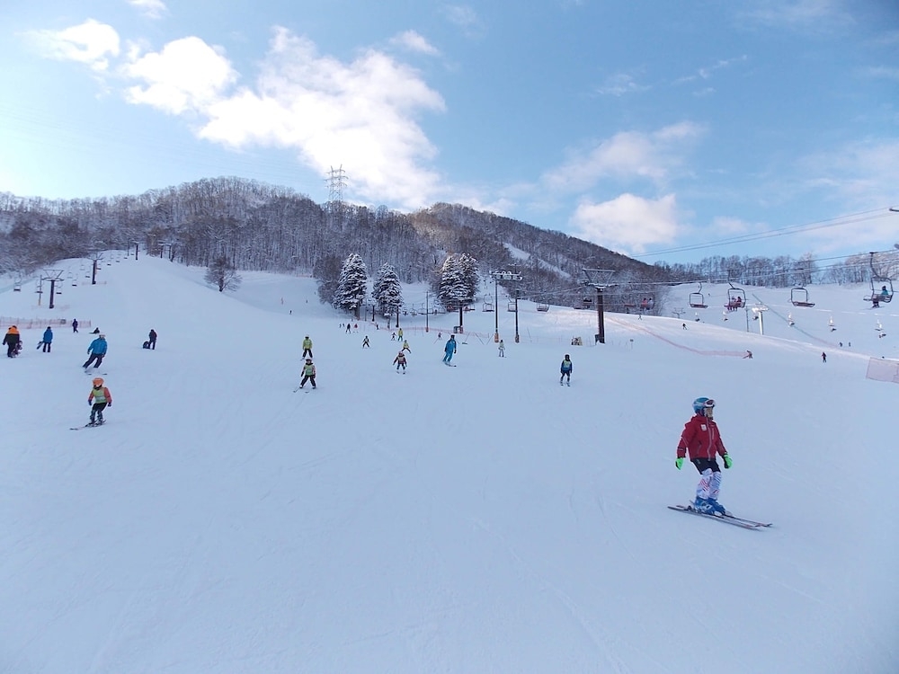 스키 및 겨울 스포츠