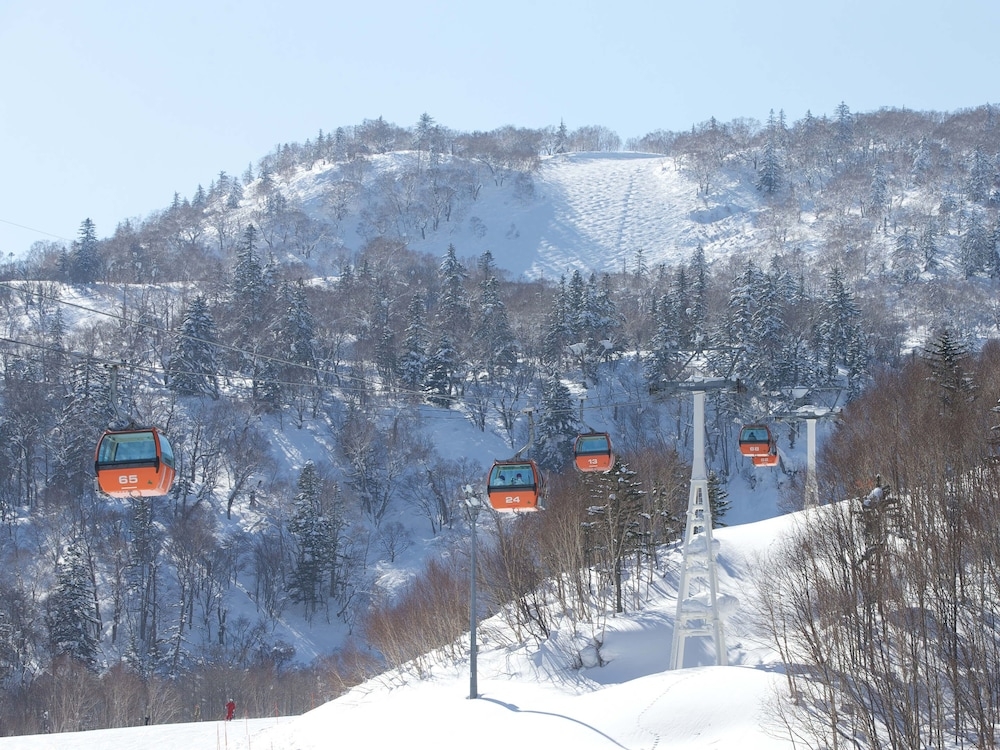 스키 및 겨울 스포츠