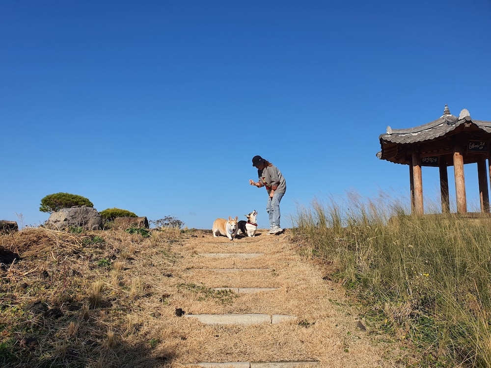숙박 시설 구내