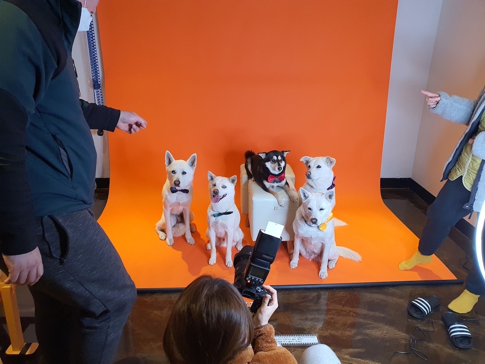 반려동물 동반 편의 시설