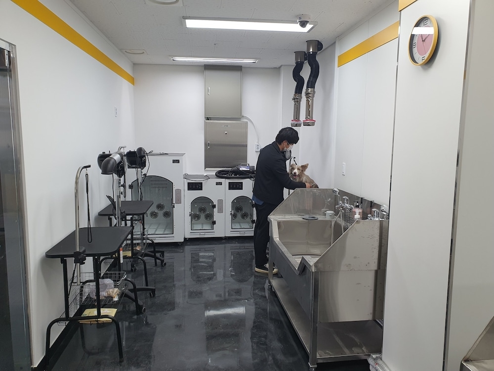 숙박 시설 내 편의 시설/서비스