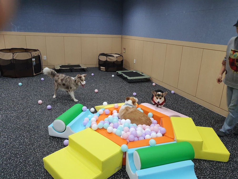 반려동물 동반 편의 시설