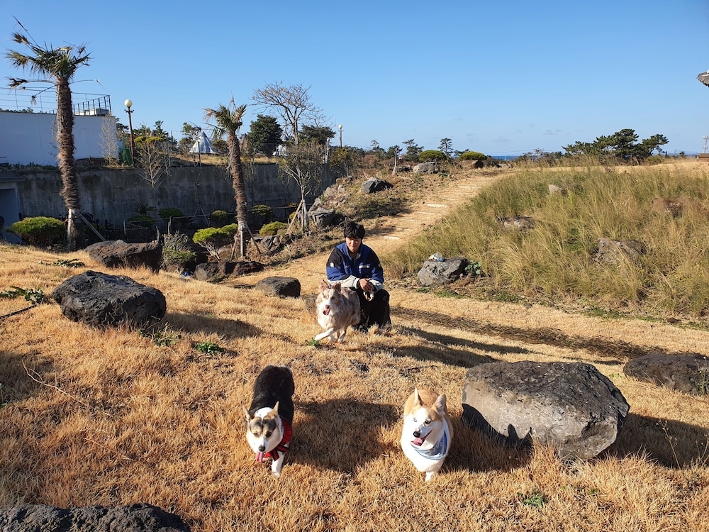 숙박 시설 구내