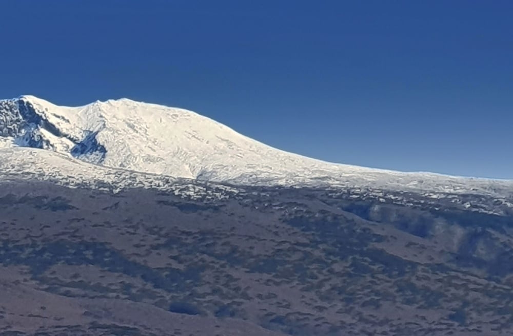 숙박 시설 구내