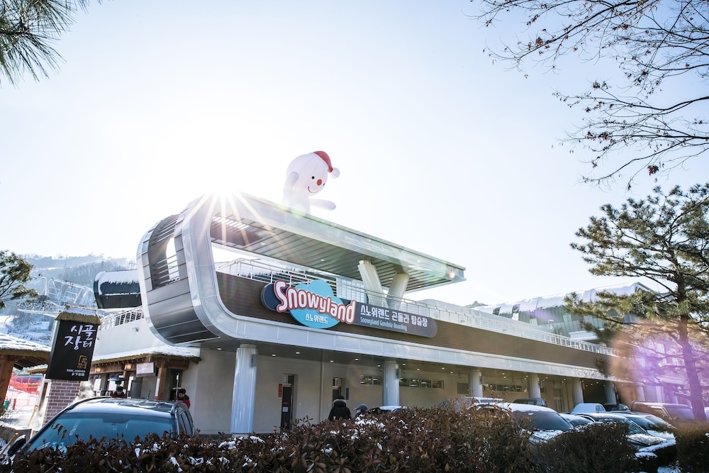 스키 및 겨울 스포츠