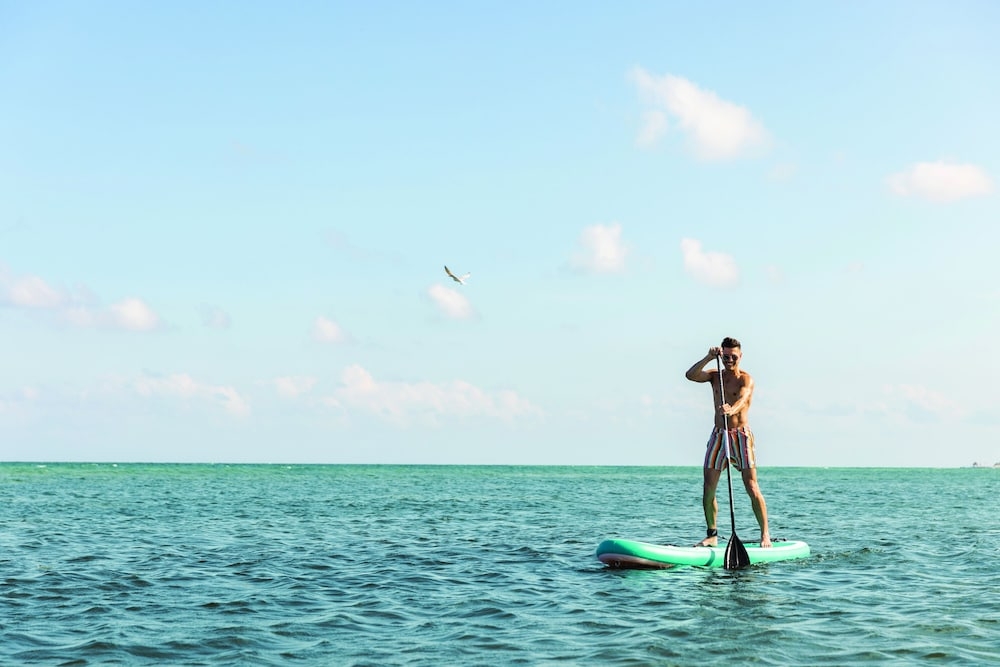 서핑/부기 보드