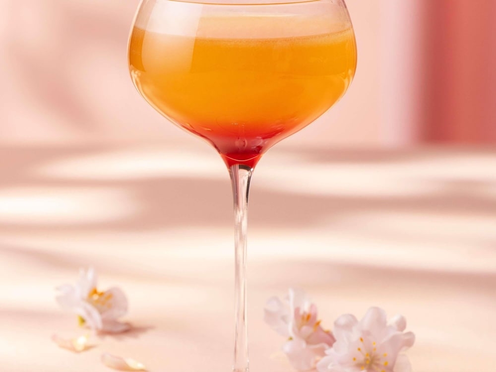 바(숙박 시설 내)