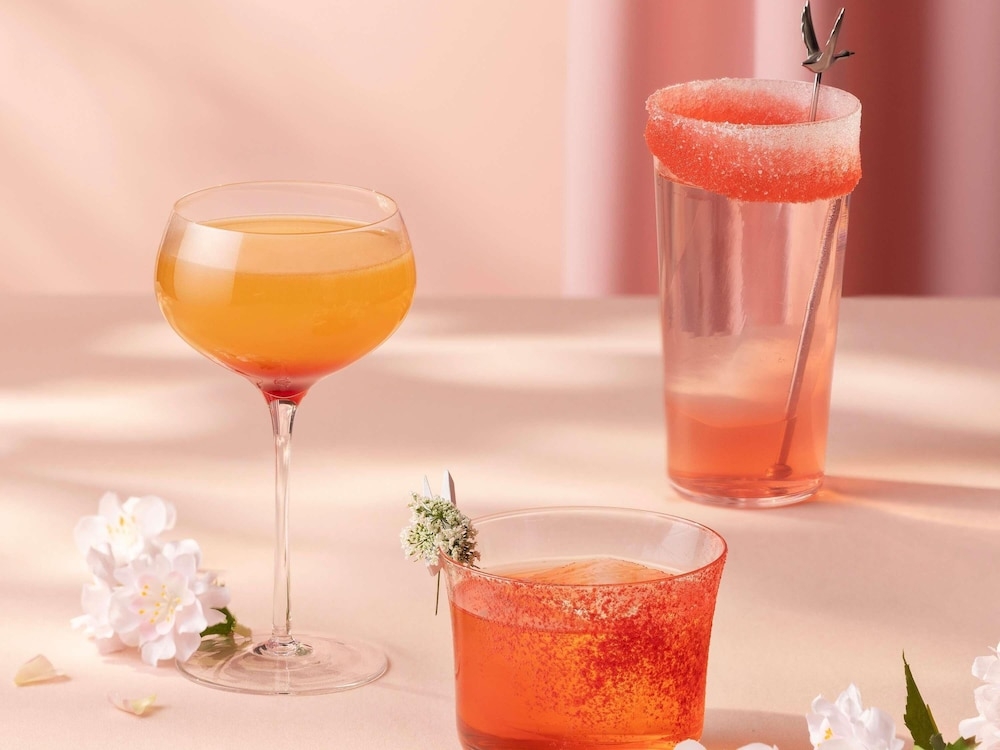 바(숙박 시설 내)