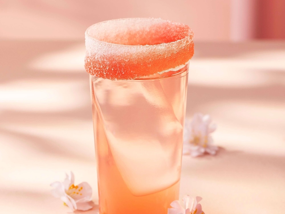 바(숙박 시설 내)