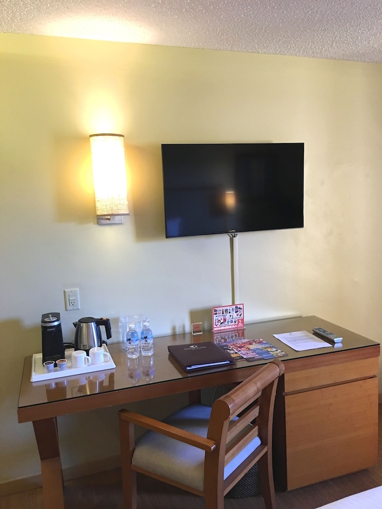 객실 내 편의 시설/서비스