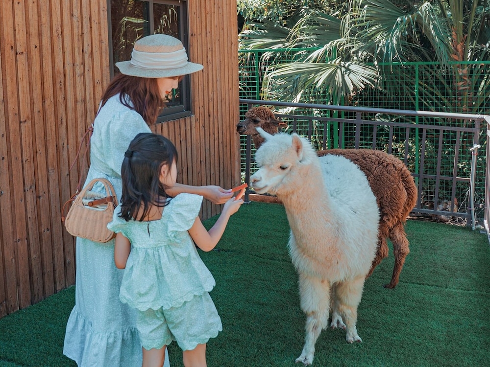 어린이 놀이 공간 - 야외