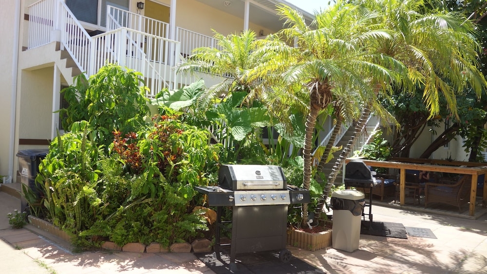 BBQ/피크닉 공간