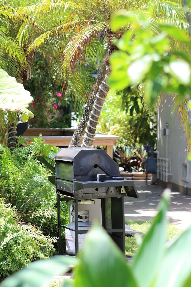 BBQ/피크닉 공간