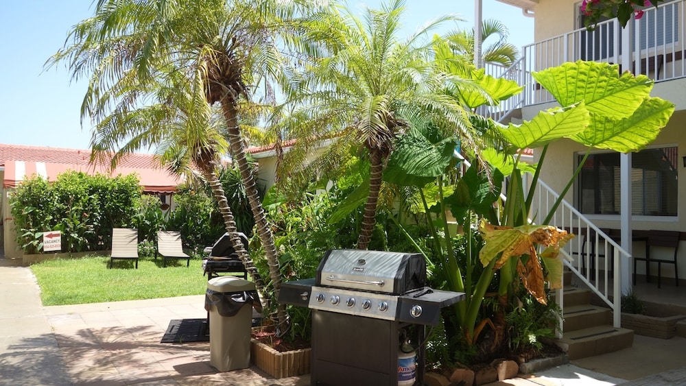 BBQ/피크닉 공간