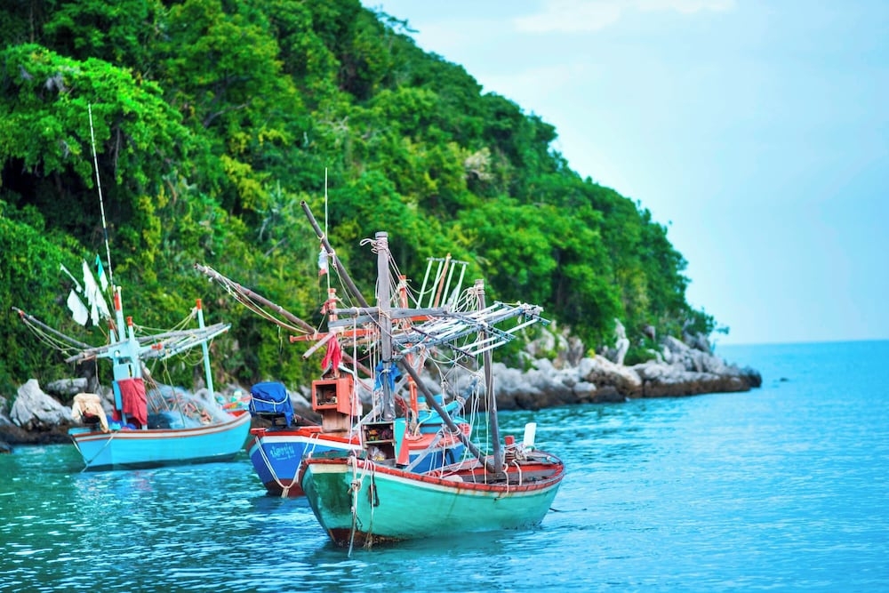 서핑/부기 보드