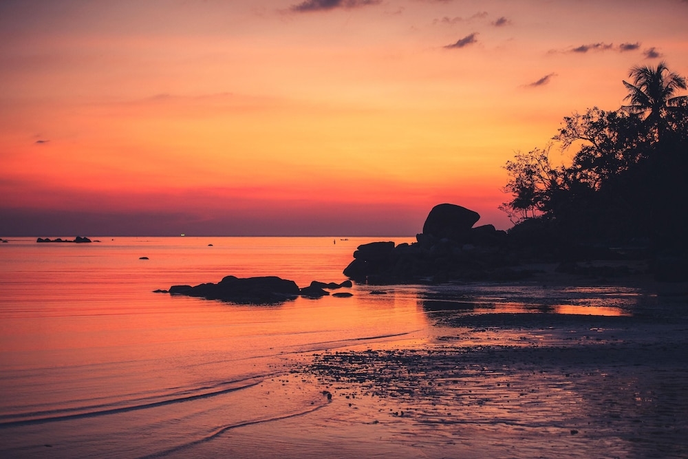 숙박 시설 내 편의 시설/서비스