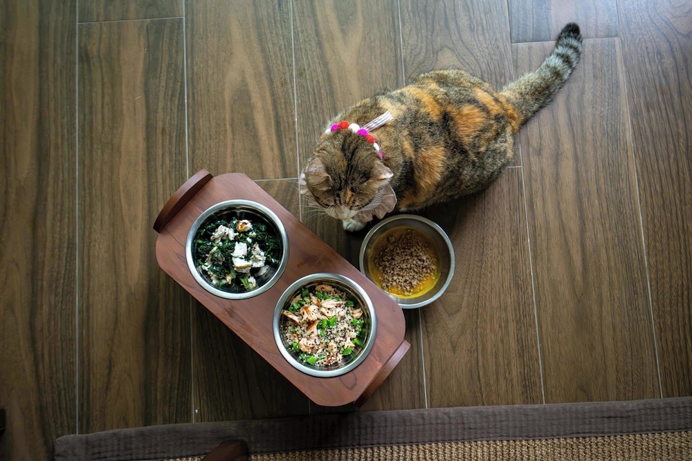 반려동물 동반 편의 시설