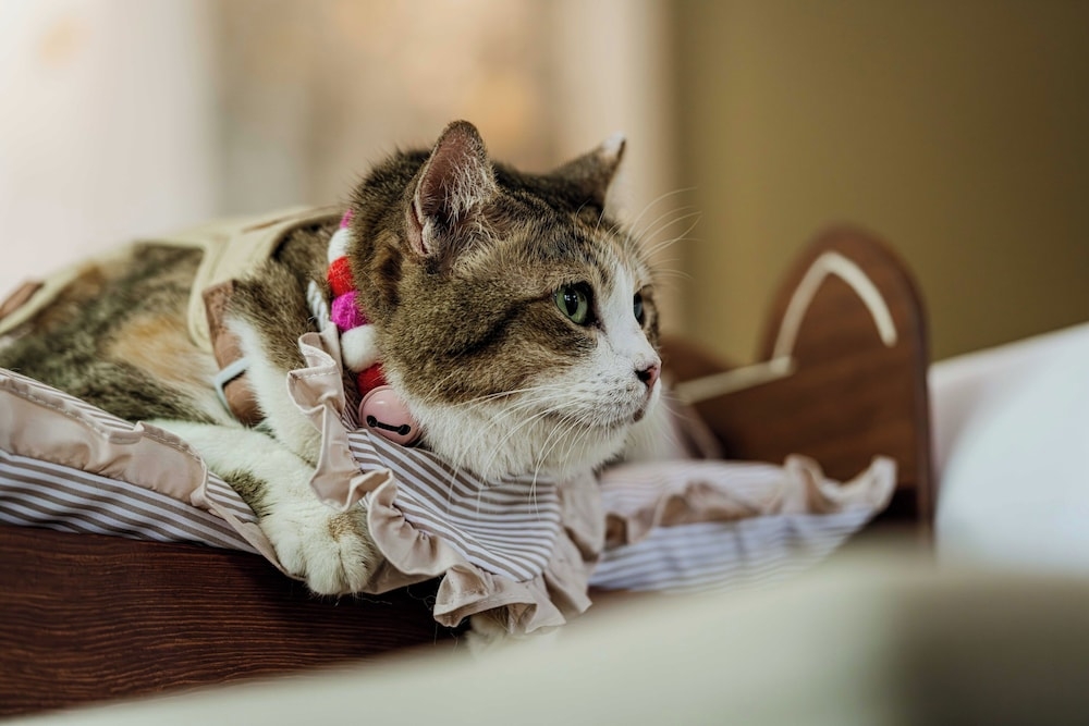 반려동물 동반 편의 시설