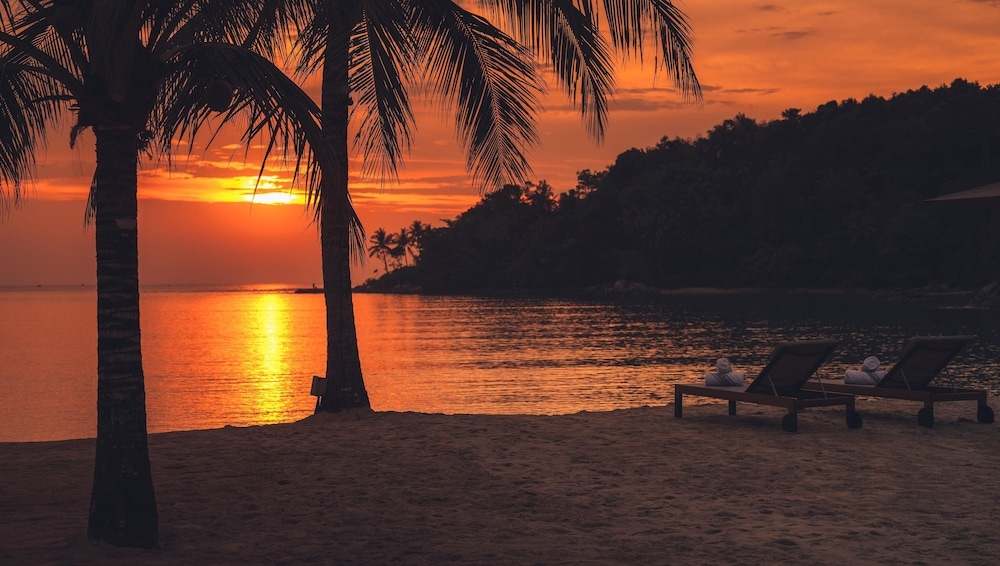 숙박 시설 내 편의 시설/서비스