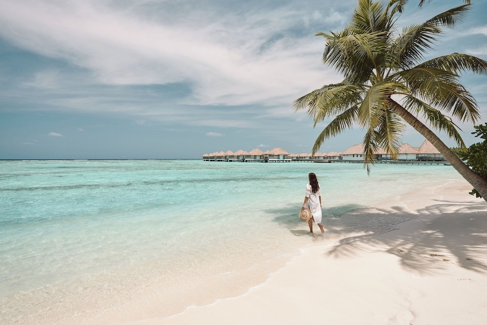 해변/바다 전망