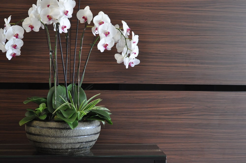 내부 세부 사진