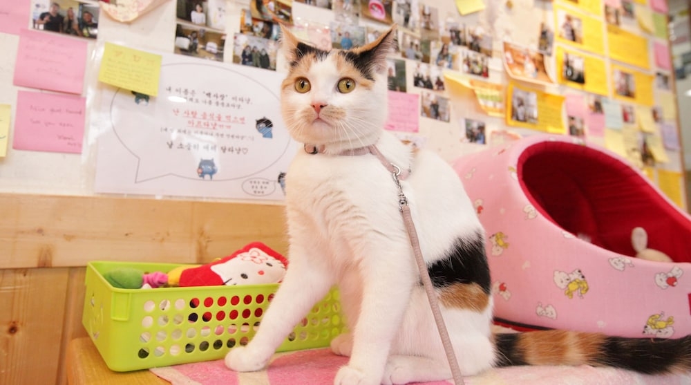 내부 세부 사진