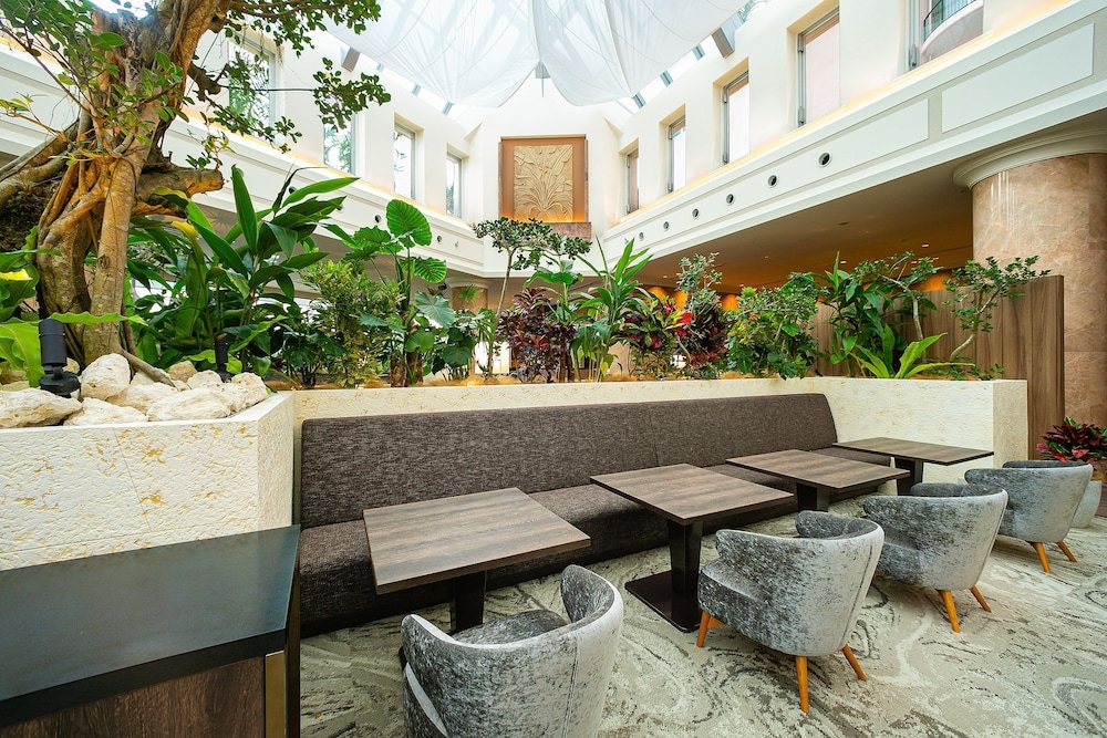 이그제큐티브 라운지