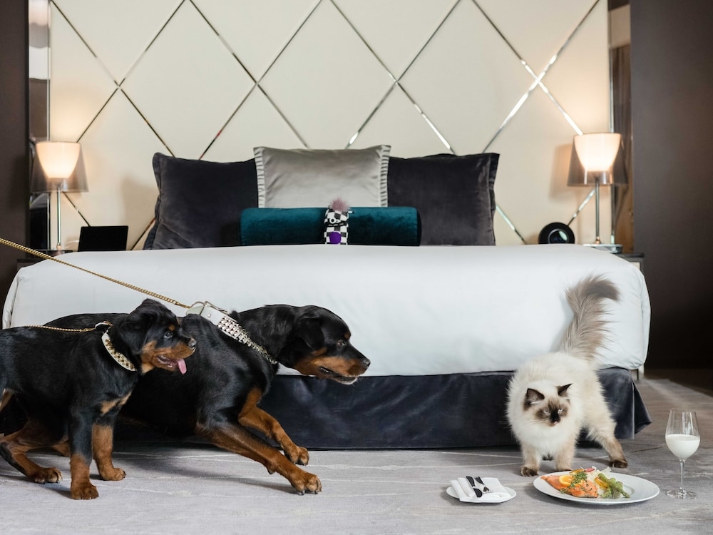 반려동물 동반 가능